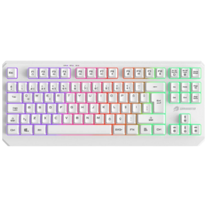 GameBooster G75 Elya Rainbow Aydınlatmalı Beyaz TKL Membrane Gaming Klavye